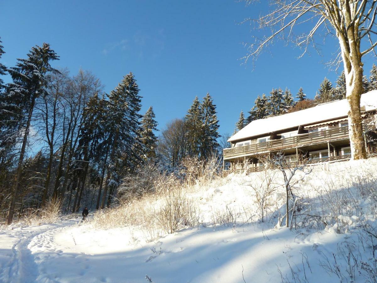 Fewo Waldblick Sankt Andreasberg Exterior foto