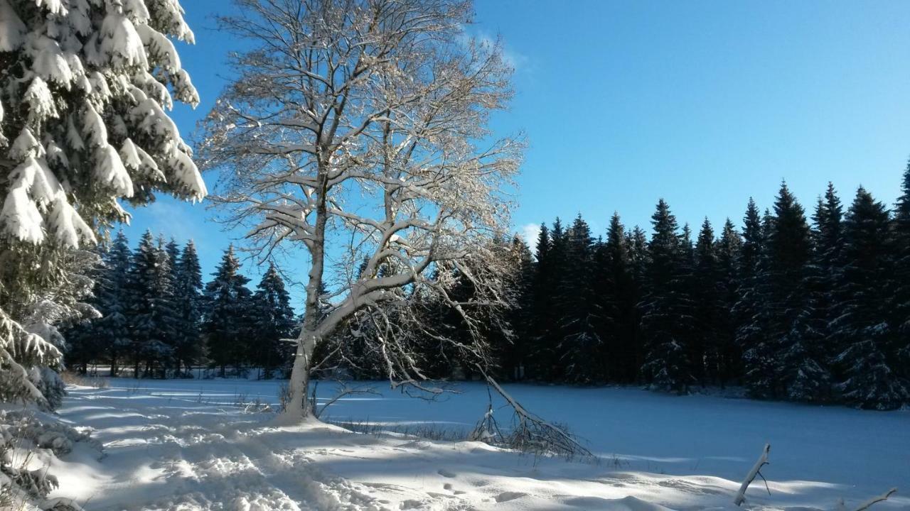 Fewo Waldblick Sankt Andreasberg Exterior foto